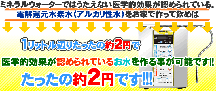 たったの2~3円です!