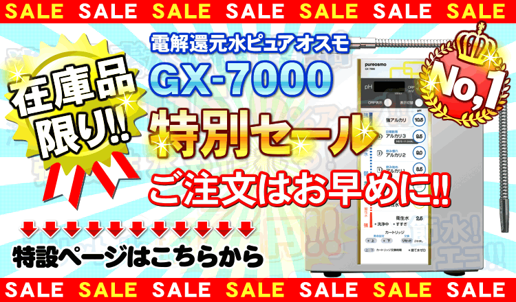 電解水素水ピュアナノHX-7000