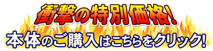 ゼンケンアクアセンチュリー特価品
