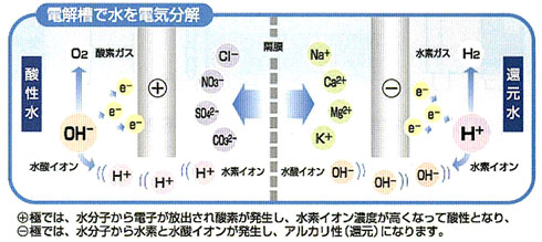 パワフルな電解槽を搭載